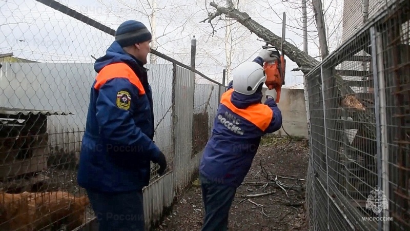 Лучше маленькая помощь, чем большое спасибо. Бойцы МЧС России откликнулись на просьбу о помощи зоозащитников